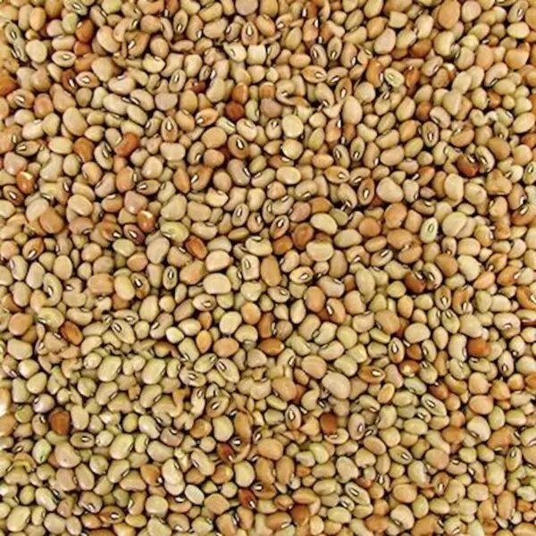 FEIJÃO DE CORDA 100g